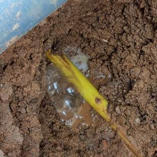 서울시 종로구 싱크대 수도관 누수문제 해결 완료