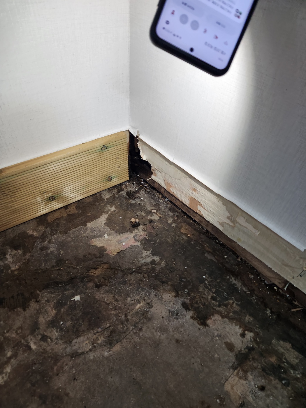 성남 아파트 거실 벽지 곰팡이 정밀 누수탐지 후 보수 완료